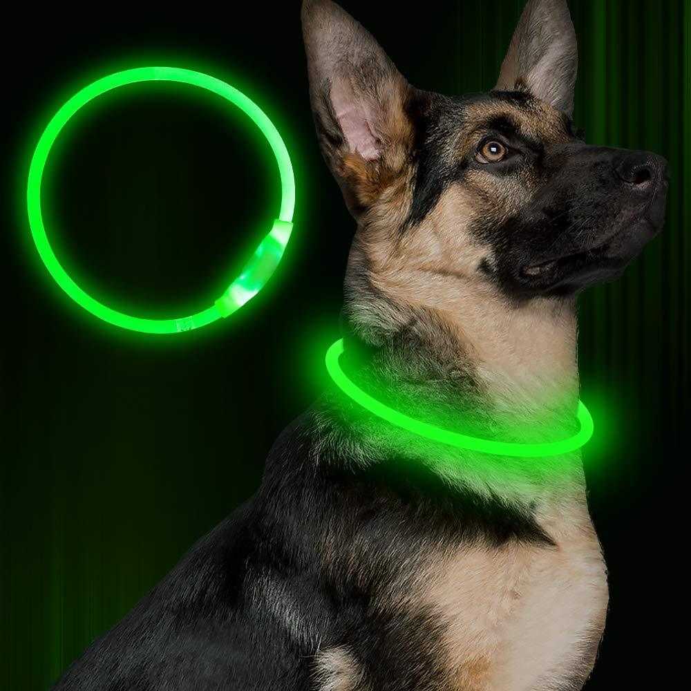 Pet Flashing Collar USB Rechargeable Glowing Necklace Safety Collar Light Up Collars For Night Walking Electric Dog Collar Neon - MarketDomez