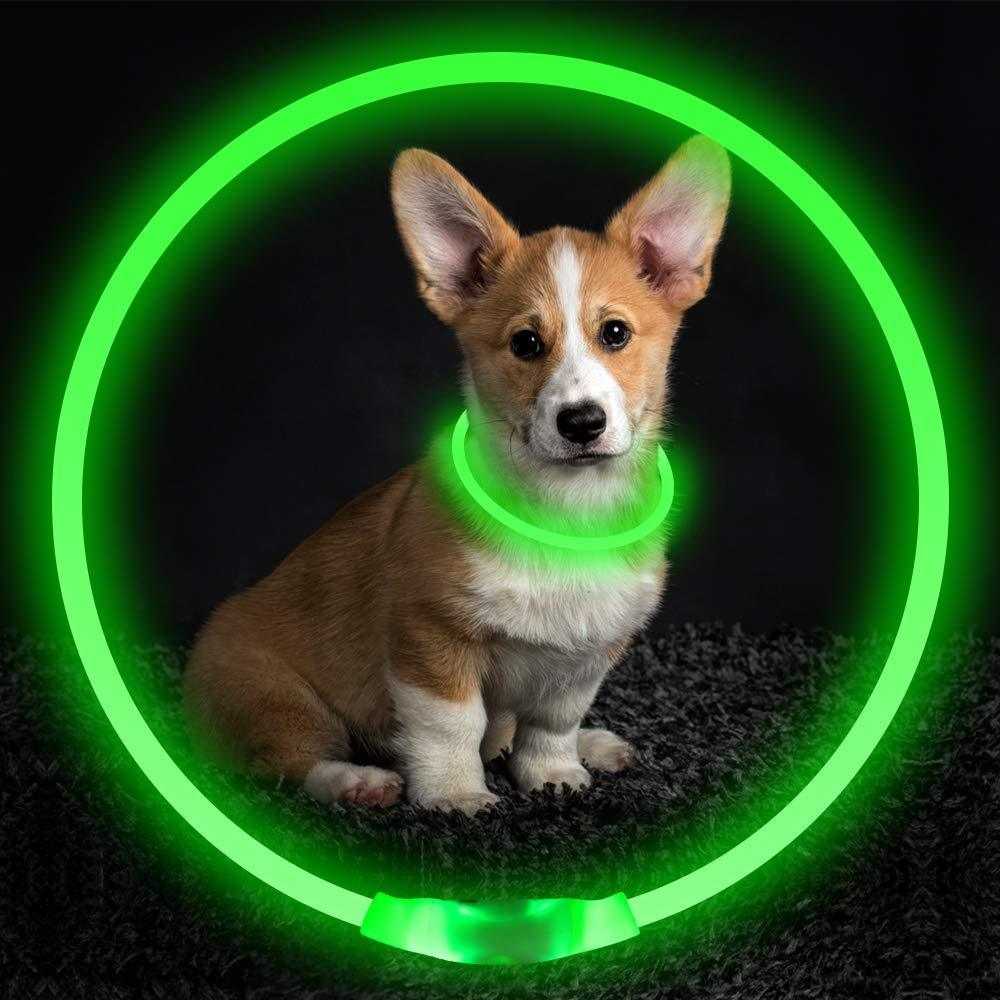 Pet Flashing Collar USB Rechargeable Glowing Necklace Safety Collar Light Up Collars For Night Walking Electric Dog Collar Neon - MarketDomez